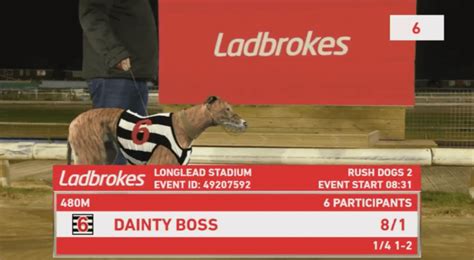 online greyhound betting sites